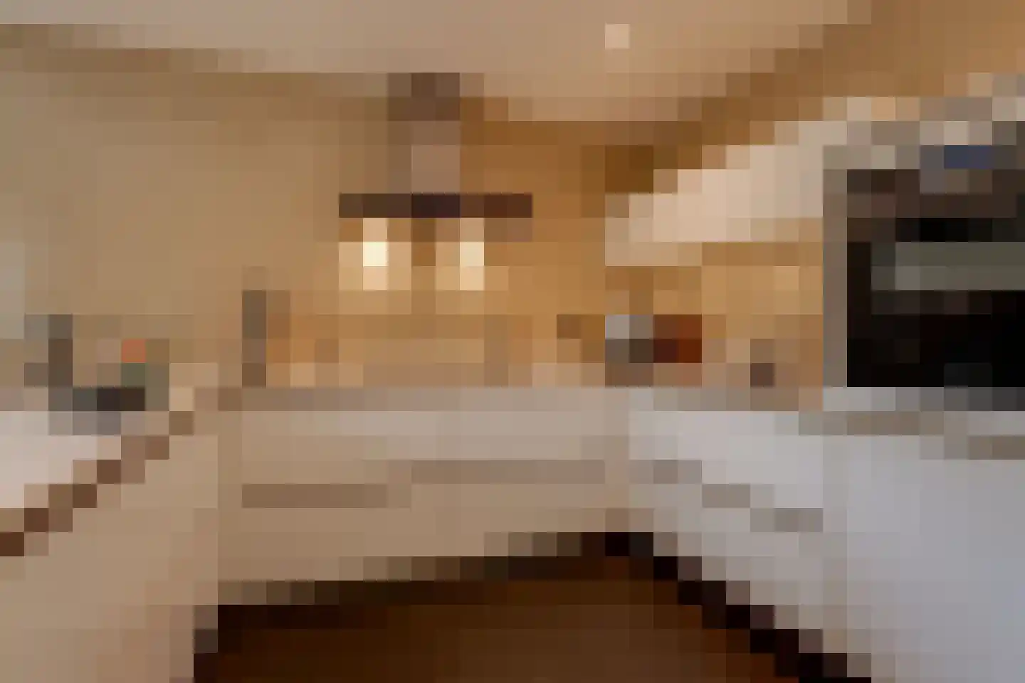 Vinkenstraat 25 Spaubeek thumbnail 35