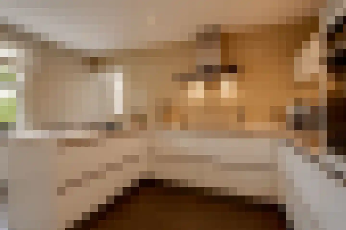 Vinkenstraat 25 Spaubeek thumbnail 36