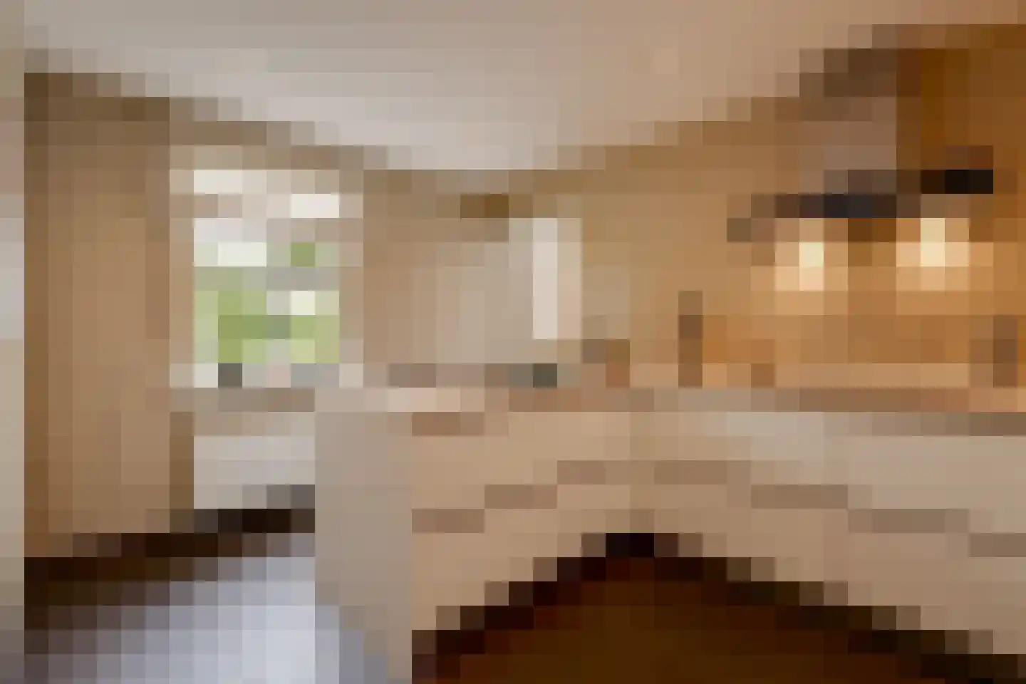 Vinkenstraat 25 Spaubeek thumbnail 37