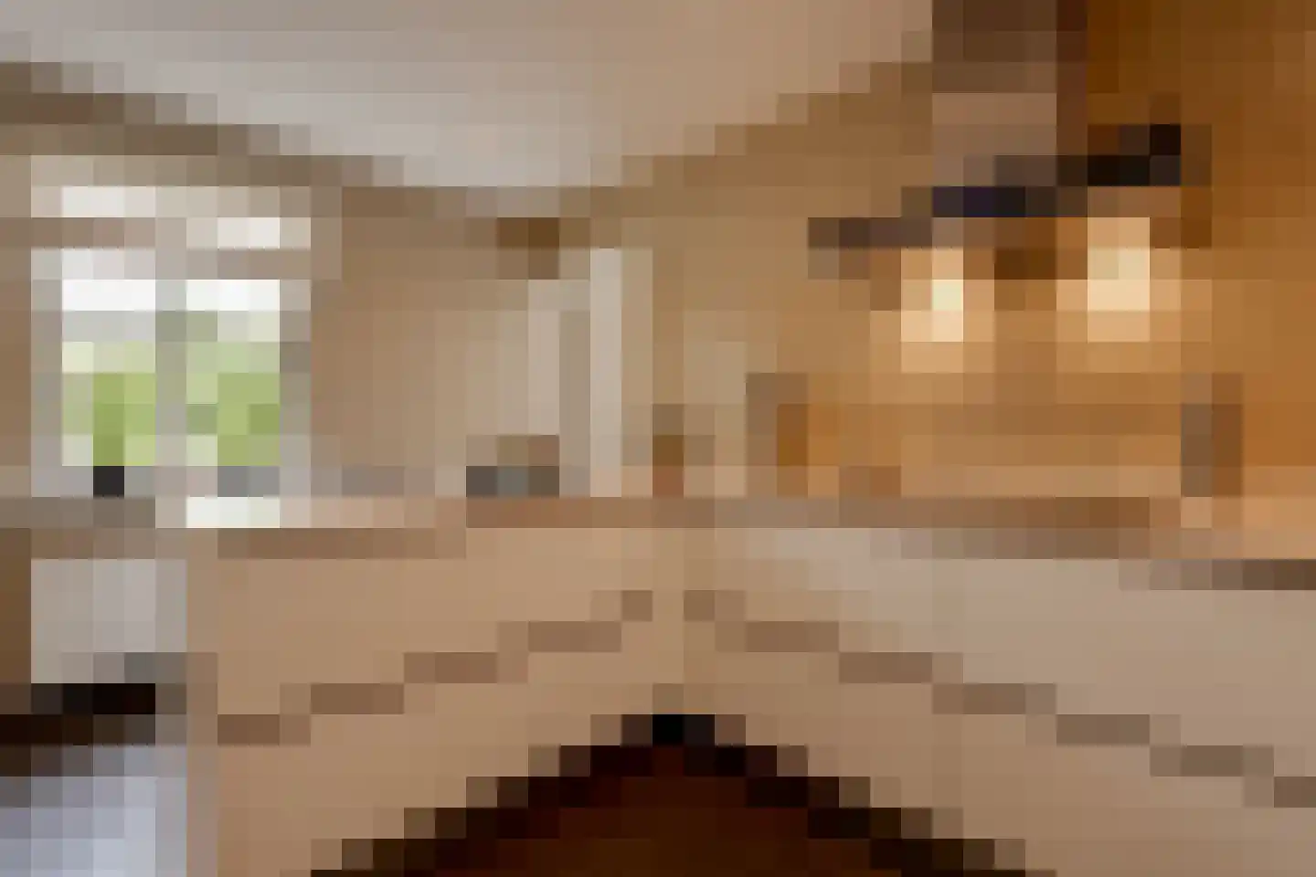 Vinkenstraat 25 Spaubeek thumbnail 38