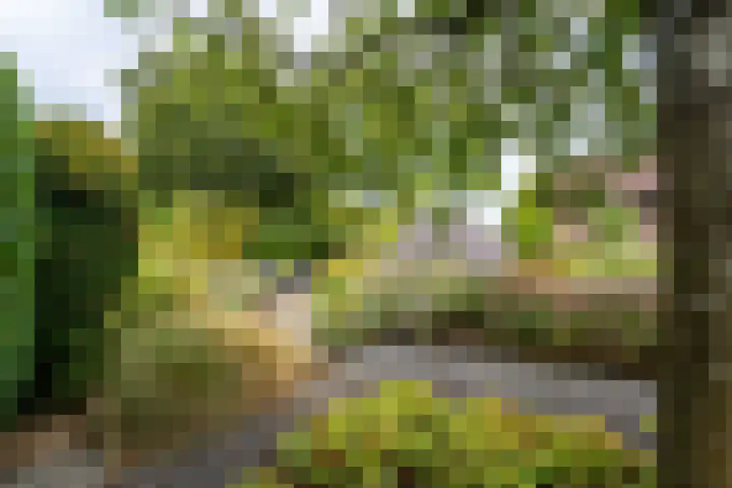 Vinkenstraat 25 Spaubeek thumbnail 4