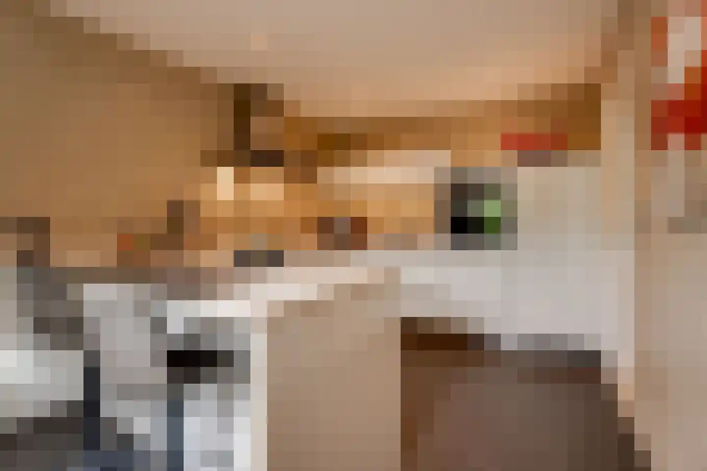 Vinkenstraat 25 Spaubeek thumbnail 40