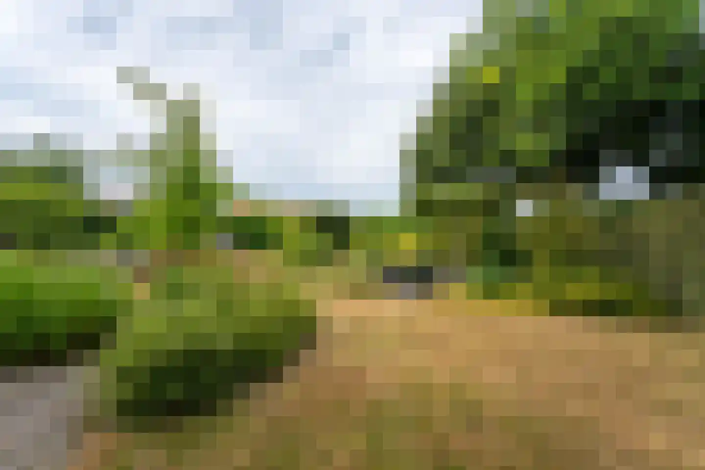 Vinkenstraat 25 Spaubeek thumbnail 46