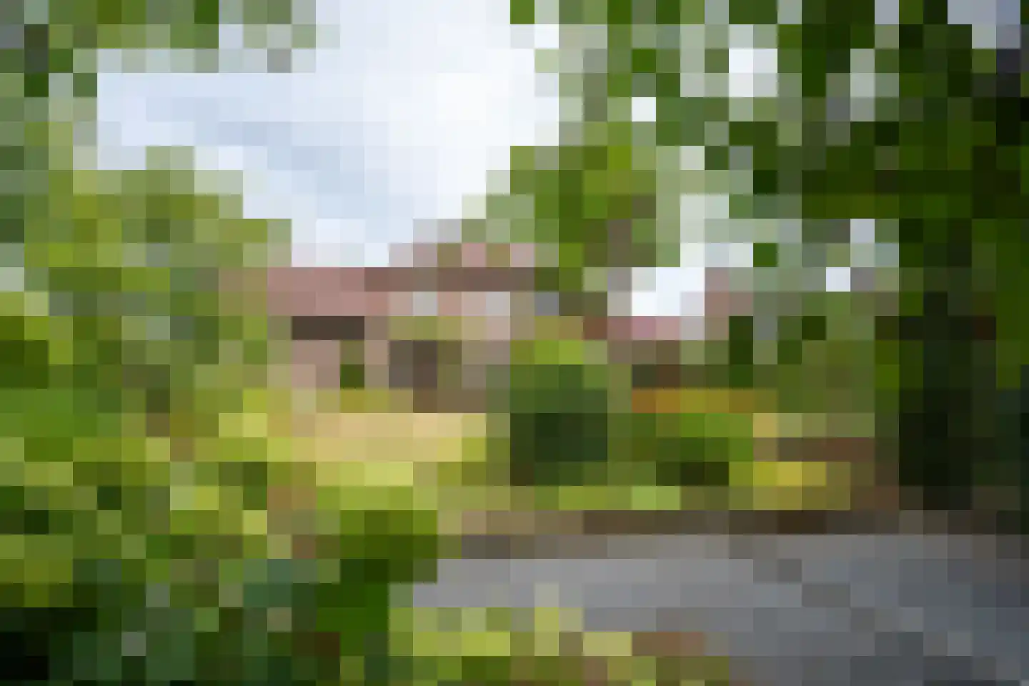 Vinkenstraat 25 Spaubeek thumbnail 49