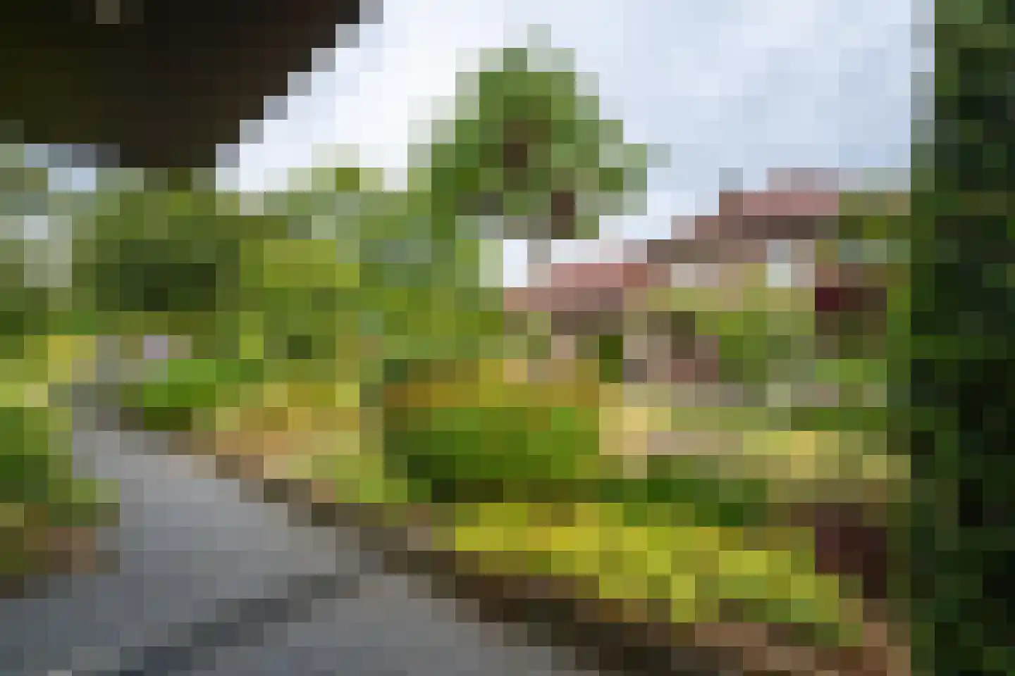 Vinkenstraat 25 Spaubeek thumbnail 50
