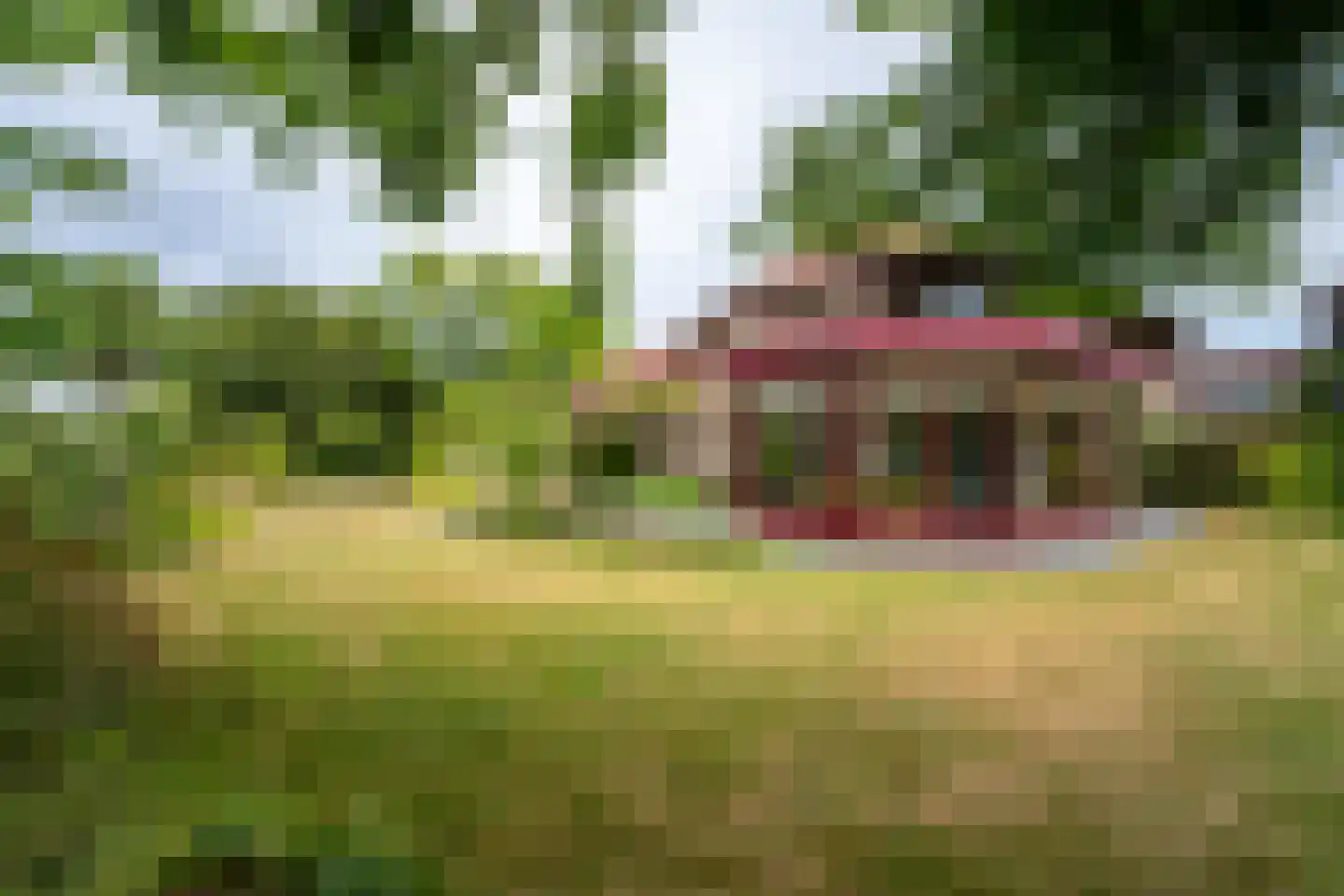 Vinkenstraat 25 Spaubeek thumbnail 51