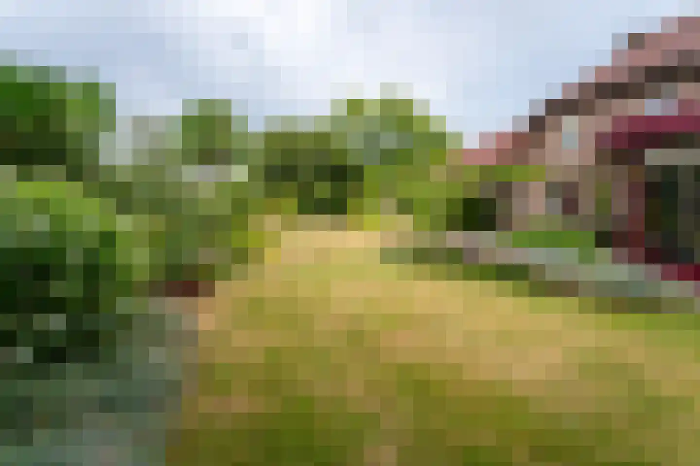 Vinkenstraat 25 Spaubeek thumbnail 53