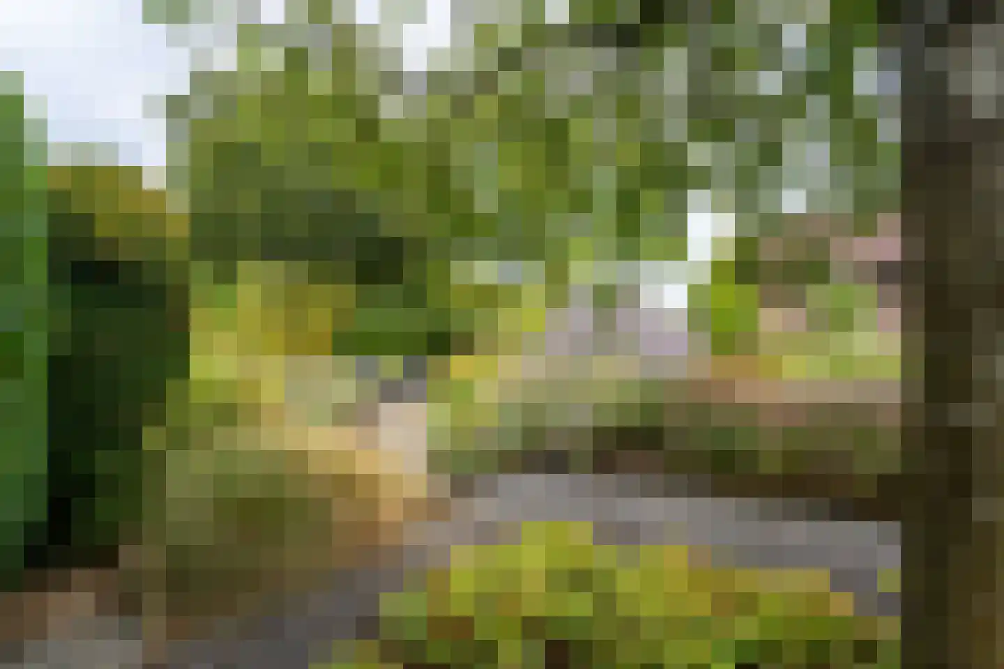 Vinkenstraat 25 Spaubeek thumbnail 55