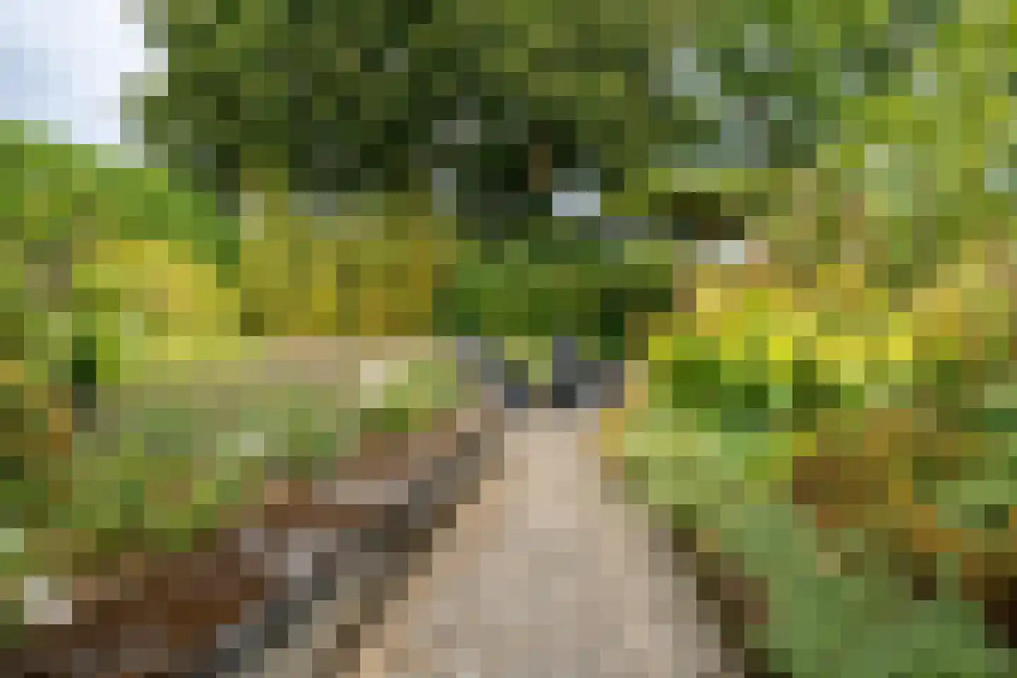 Vinkenstraat 25 Spaubeek thumbnail 56