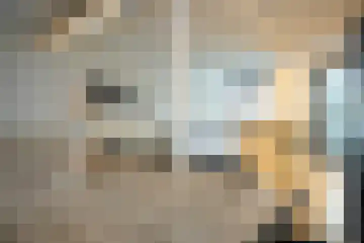 Vinkenstraat 26 Geleen thumbnail 8