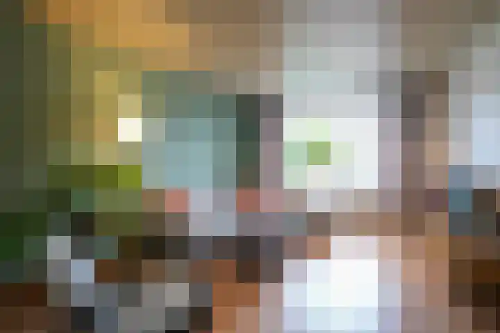 Vinkenstraat 3 Geleen thumbnail 4