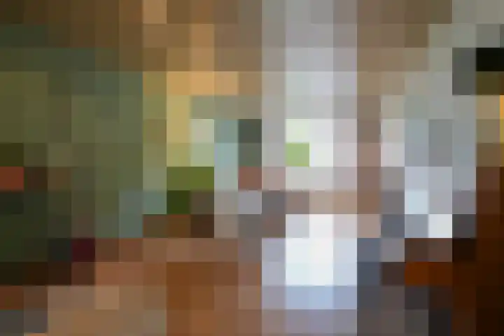 Vinkenstraat 3 Geleen thumbnail 6