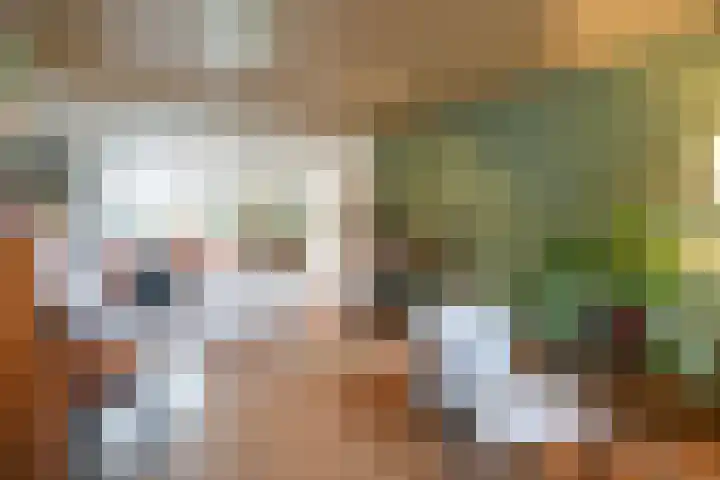 Vinkenstraat 3 Geleen thumbnail 8