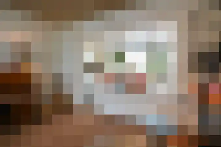 Vinkenstraat 3 Geleen thumbnail 9