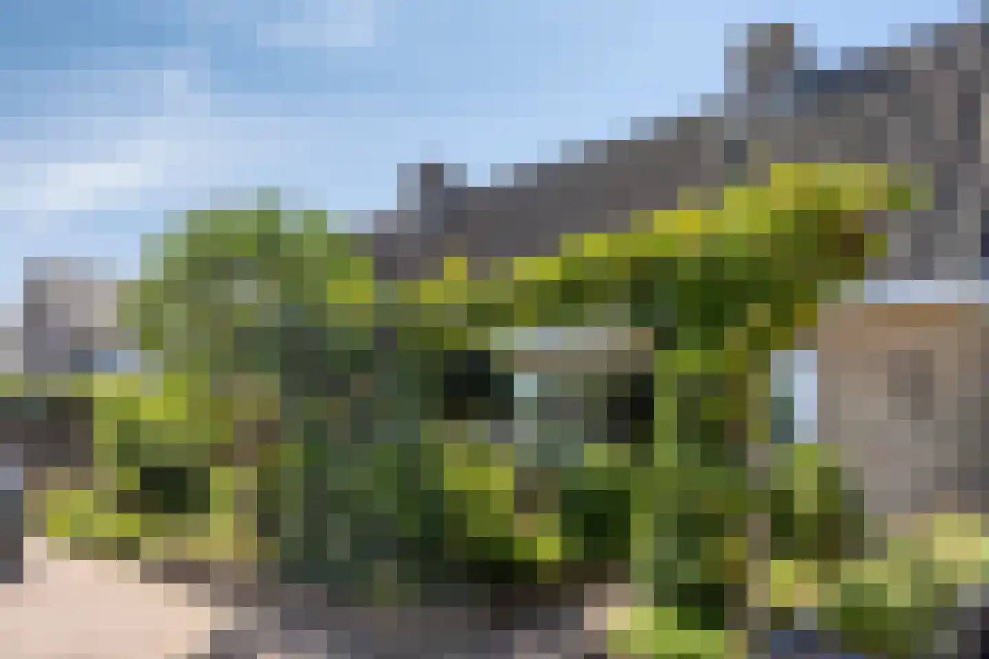 Vinkenstraat 3 Someren thumbnail 12