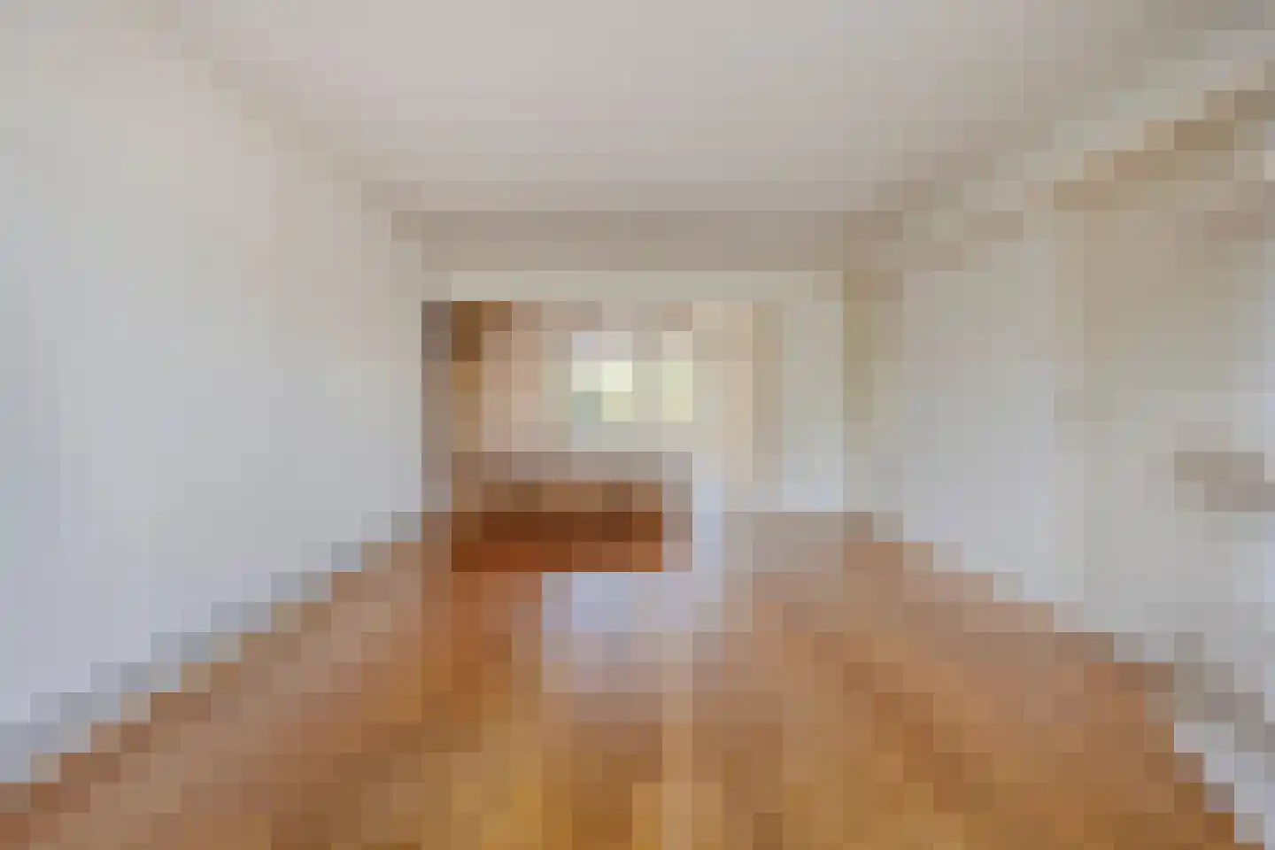 Vinkenstraat 3 Someren thumbnail 17