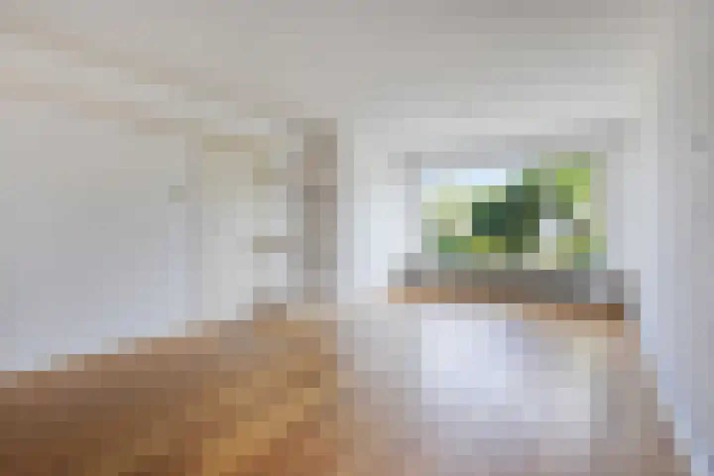 Vinkenstraat 3 Someren thumbnail 18