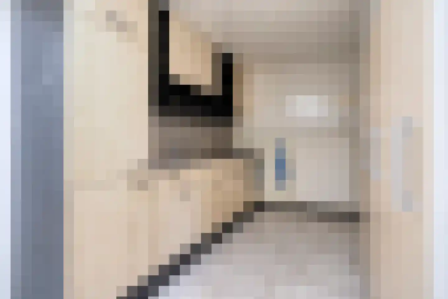 Vinkenstraat 3 Someren thumbnail 25