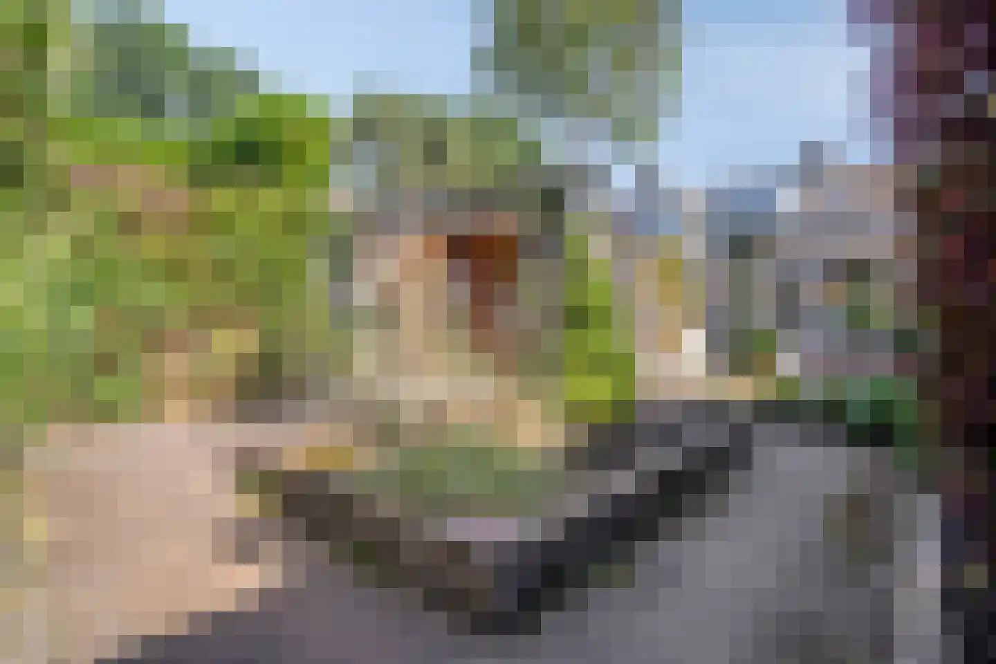 Vinkenstraat 3 Someren thumbnail 42