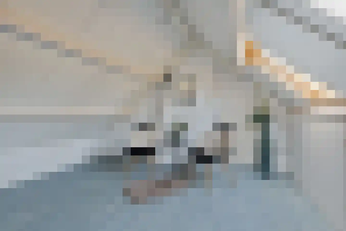 Vinkenstraat 3 Wormerveer thumbnail 23