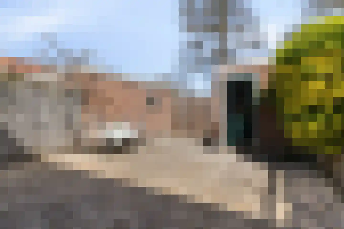 Vinkenstraat 3 Wormerveer thumbnail 27