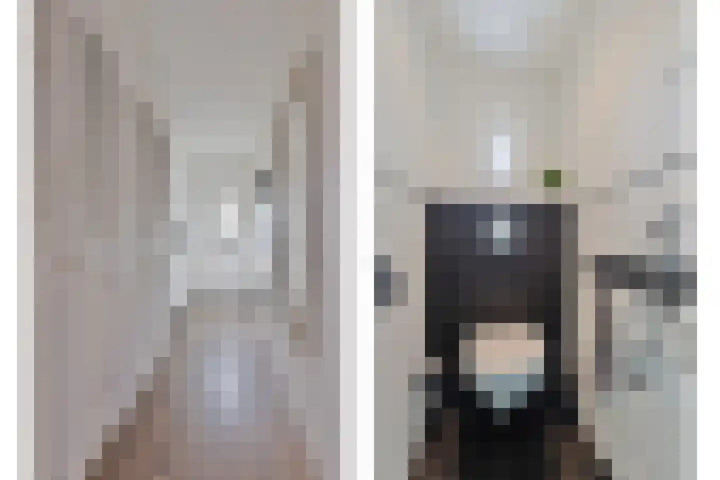 Vinkenstraat 3 Wormerveer thumbnail 5