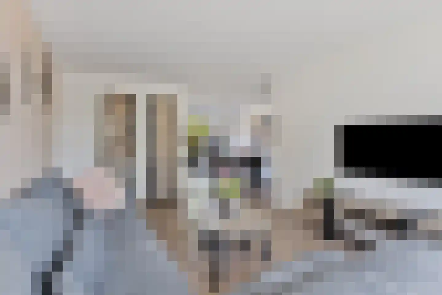 Vinkenstraat 3 Wormerveer thumbnail 7