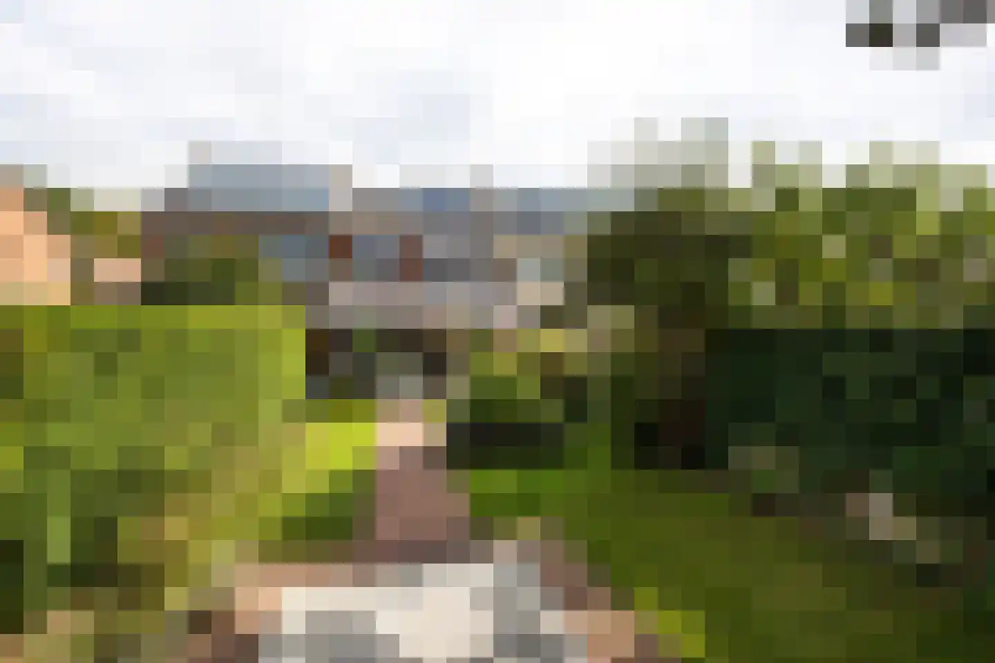 Vinkenstraat 3 Zandvoort thumbnail 15