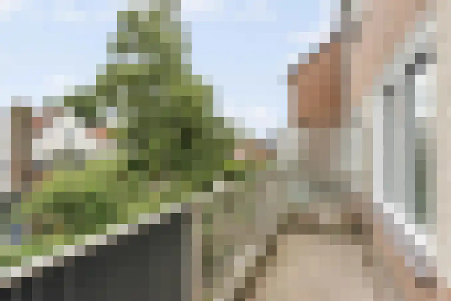 Vinkenstraat 30 Arnhem thumbnail 13