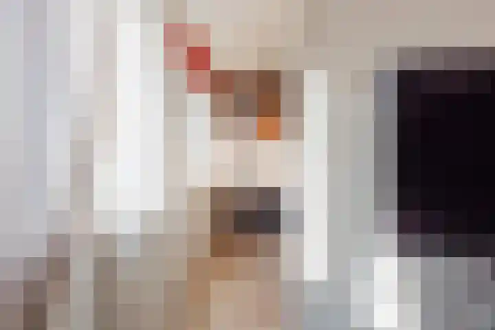 Vinkenstraat 33 Horst thumbnail 21