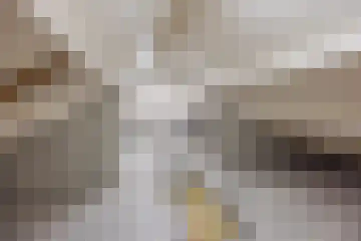 Vinkenstraat 33 Horst thumbnail 5
