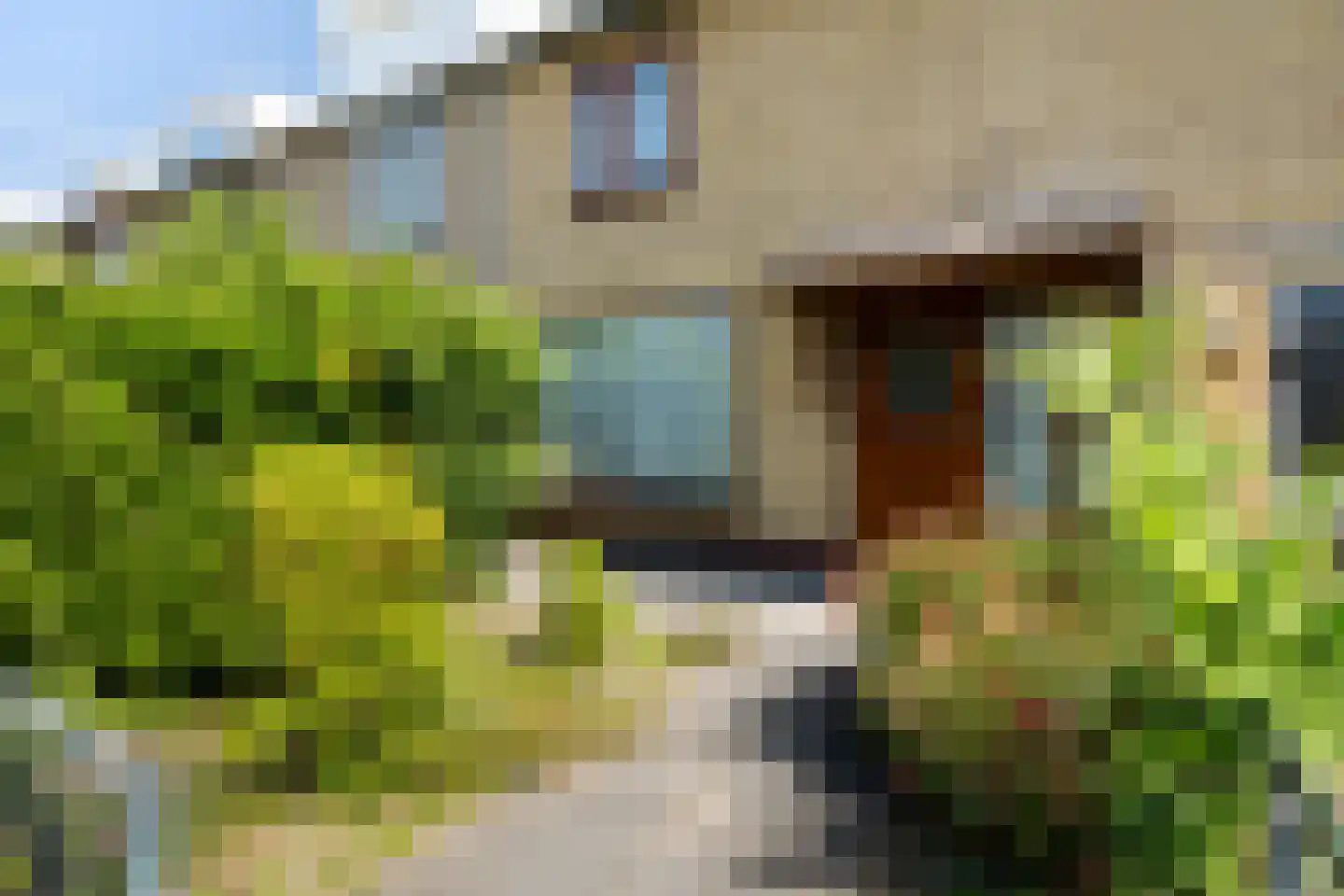 Vinkenstraat 33 Noordwijkerhout thumbnail 40