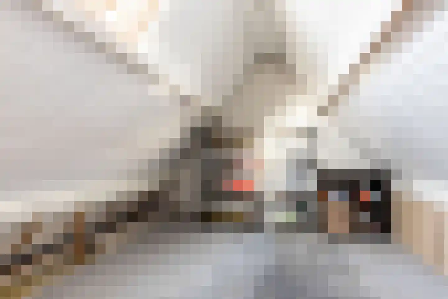 Vinkenstraat 36 Haarlem thumbnail 32