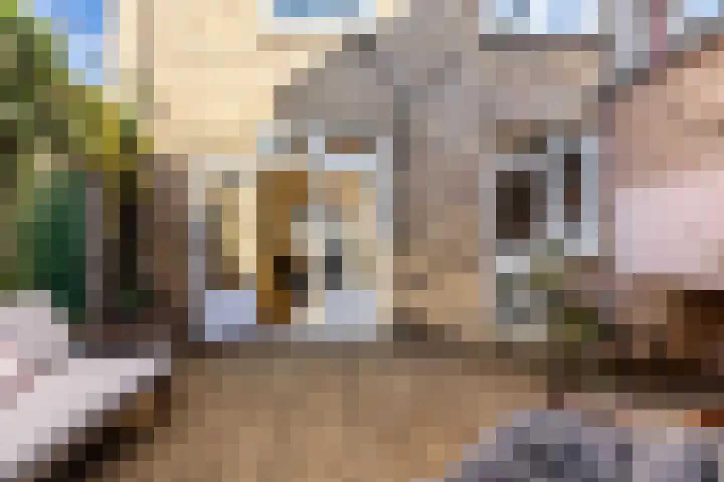 Vinkenstraat 36 Haarlem thumbnail 33