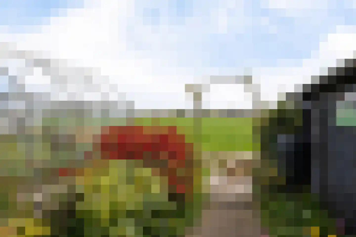 Vinkenstraat 4 't Zandt thumbnail 19