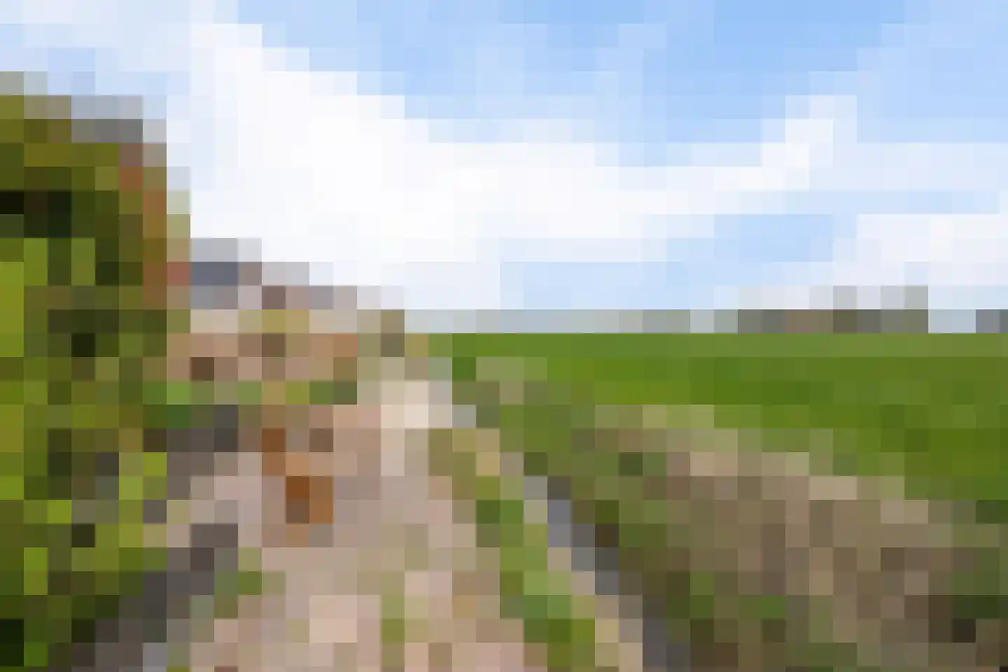 Vinkenstraat 4 't Zandt thumbnail 20