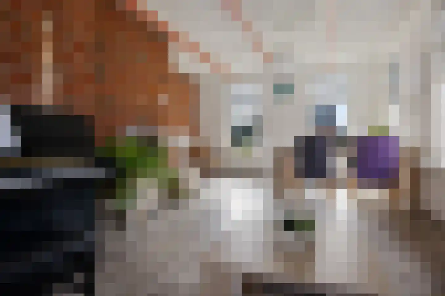 Vinkenstraat 4 't Zandt thumbnail 31