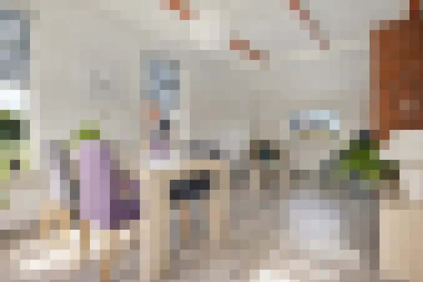 Vinkenstraat 4 't Zandt thumbnail 33