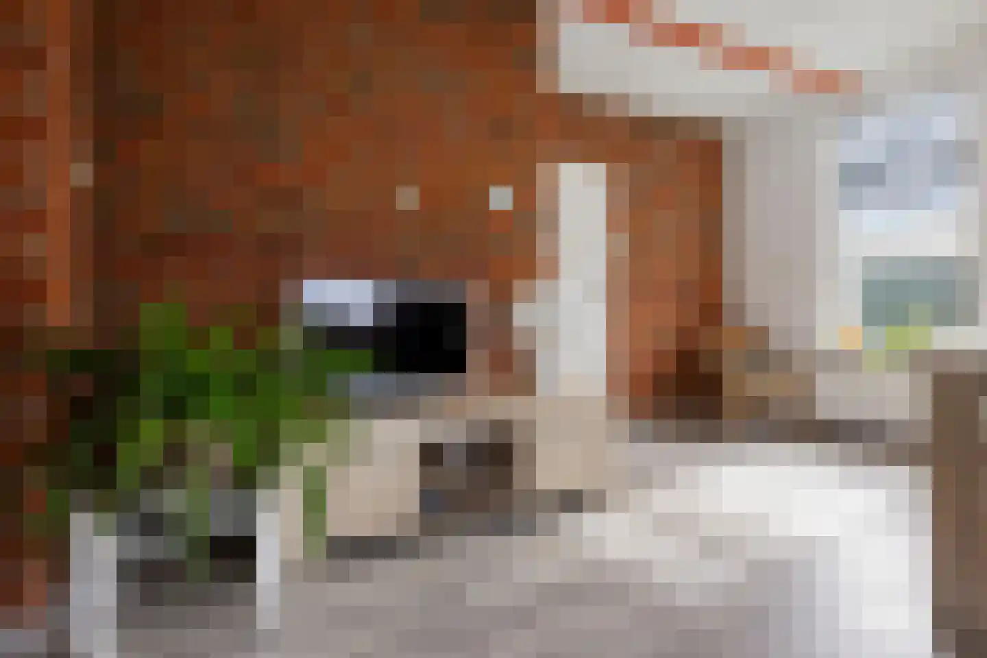Vinkenstraat 4 't Zandt thumbnail 34