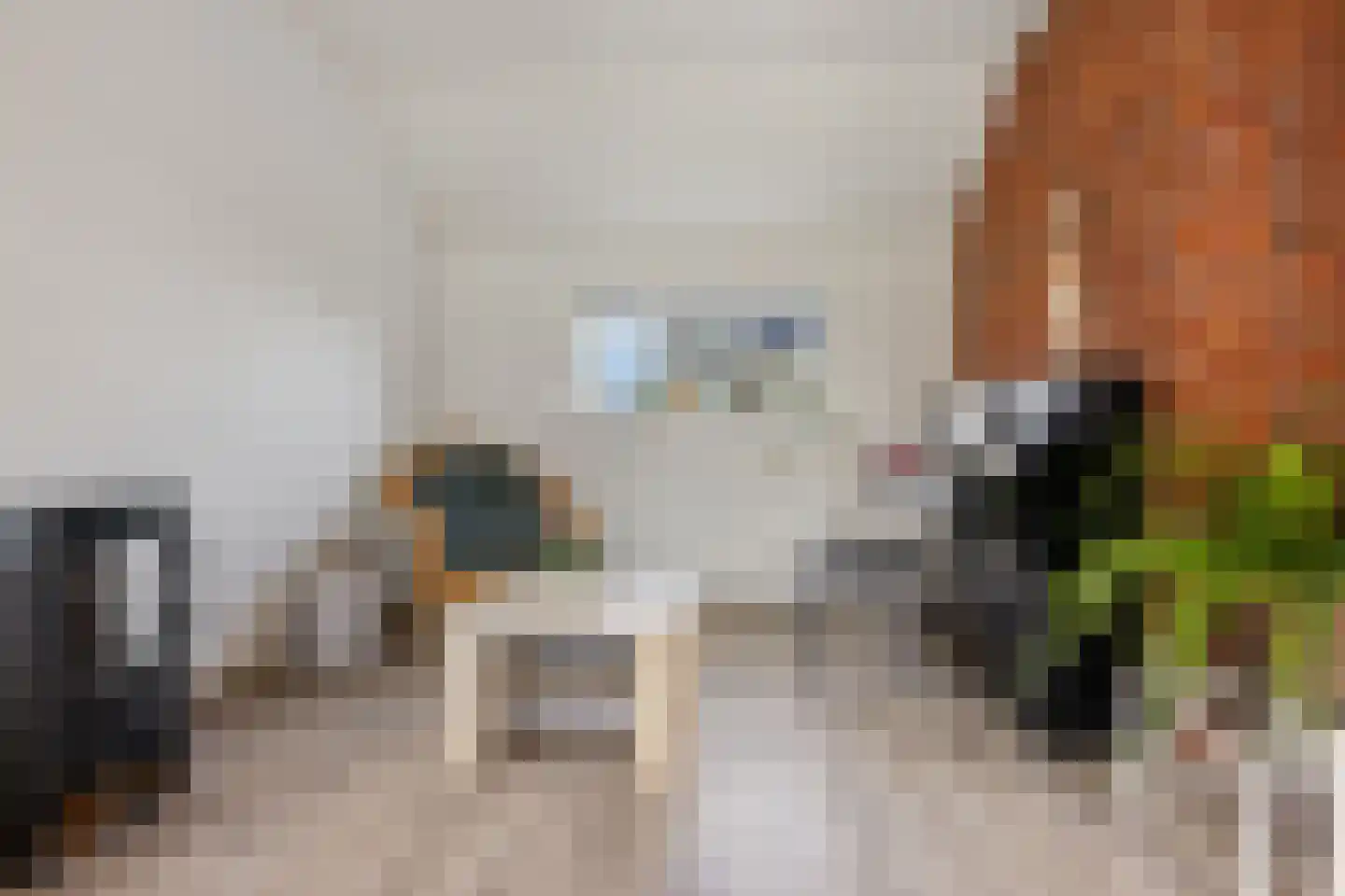 Vinkenstraat 4 't Zandt thumbnail 36