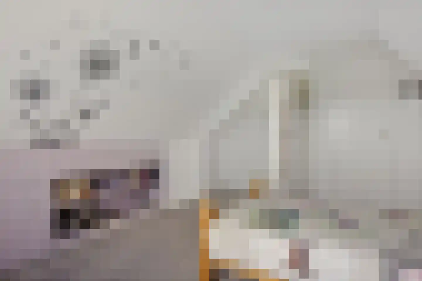 Vinkenstraat 4 't Zandt thumbnail 55