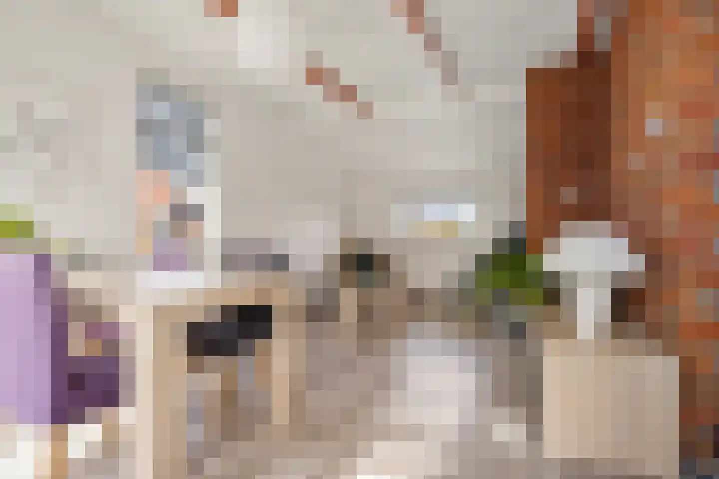 Vinkenstraat 4 't Zandt thumbnail 6