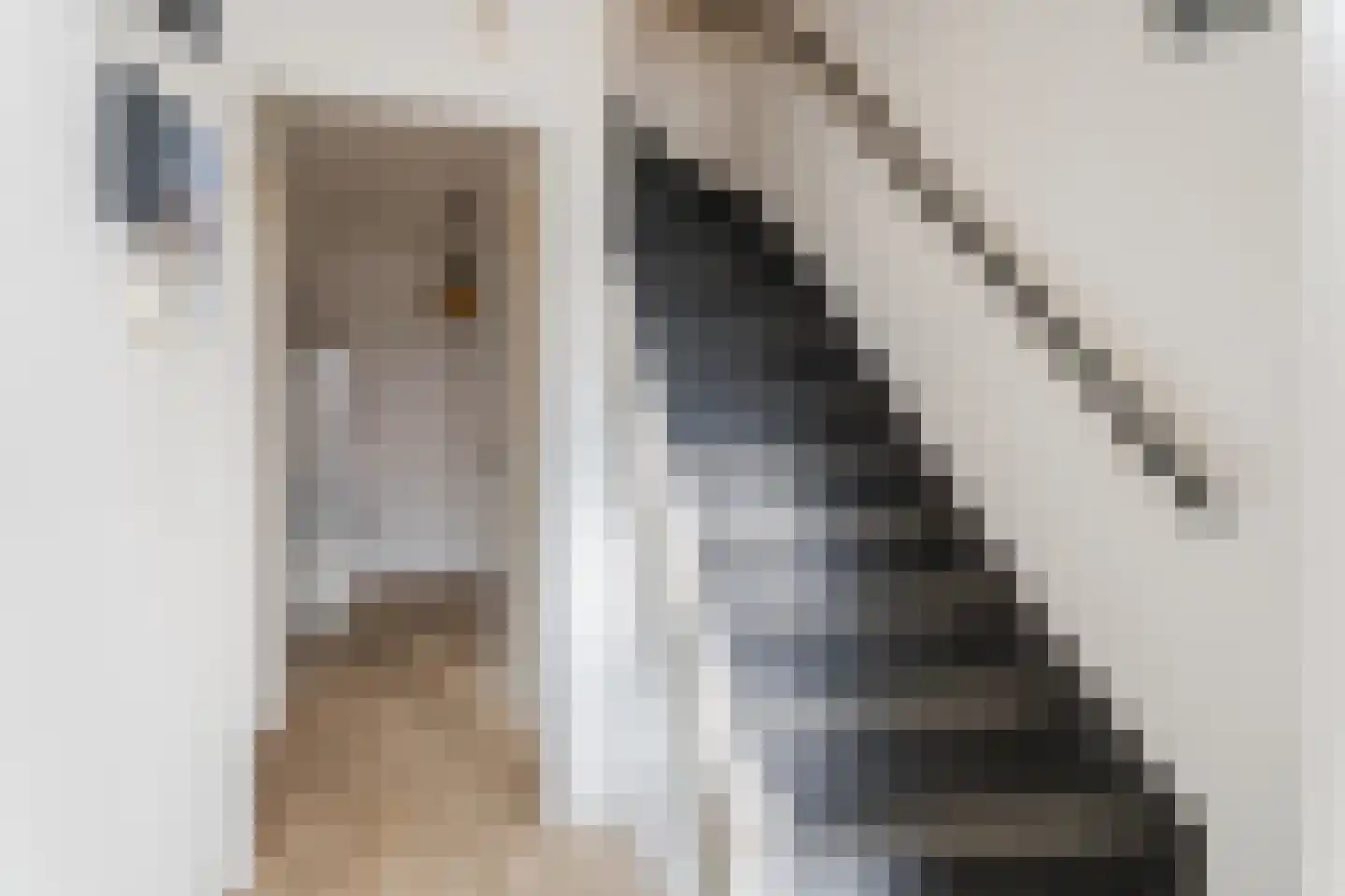 Vinkenstraat 42 Oss thumbnail 15