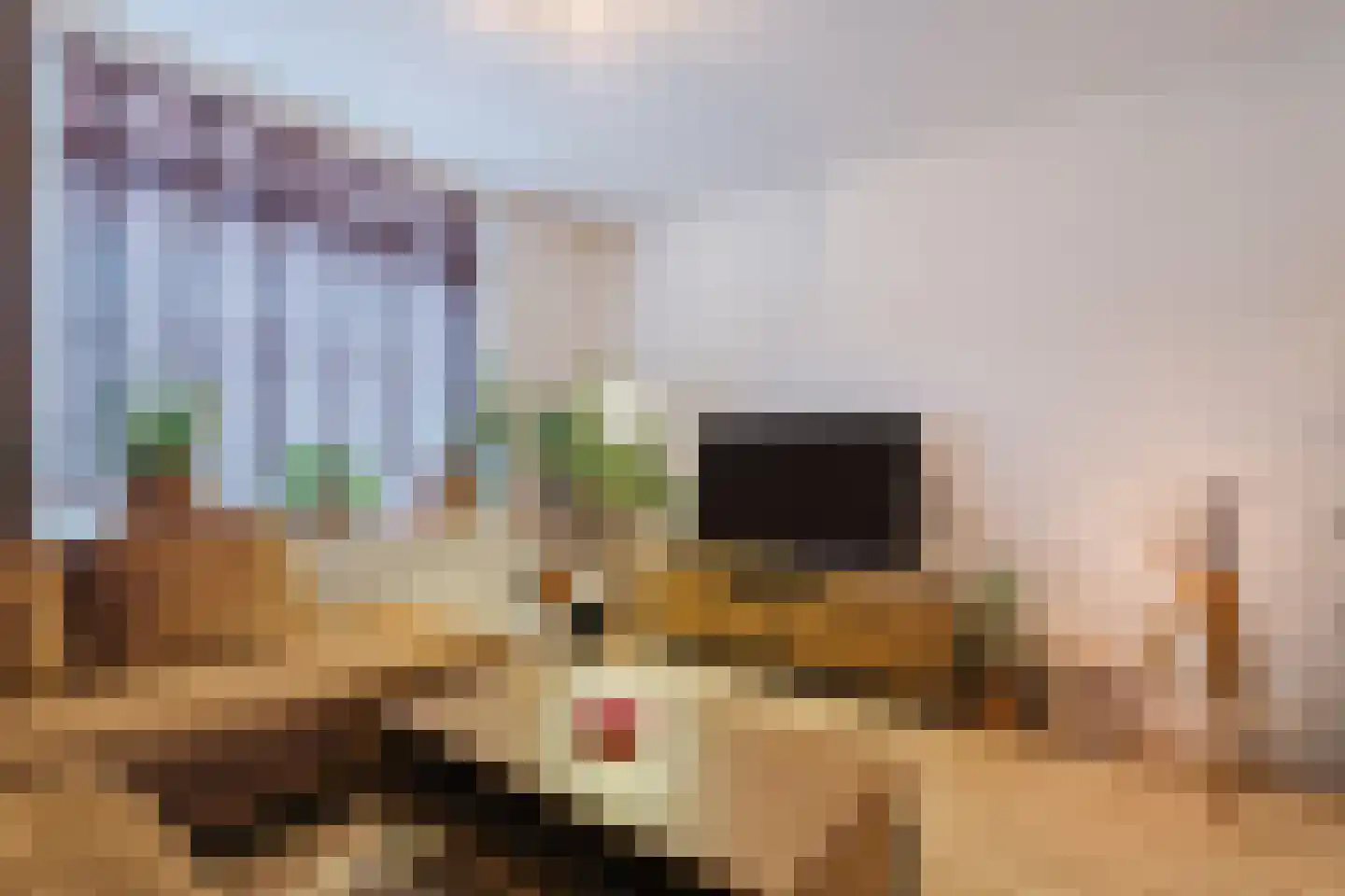 Vinkenstraat 42 Oss thumbnail 6