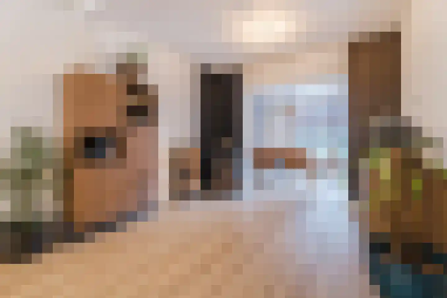 Vinkenstraat 42 Oss thumbnail 7