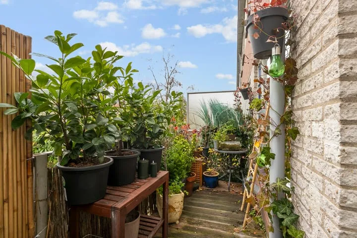 Vinkenstraat 48 Arnhem thumbnail 15