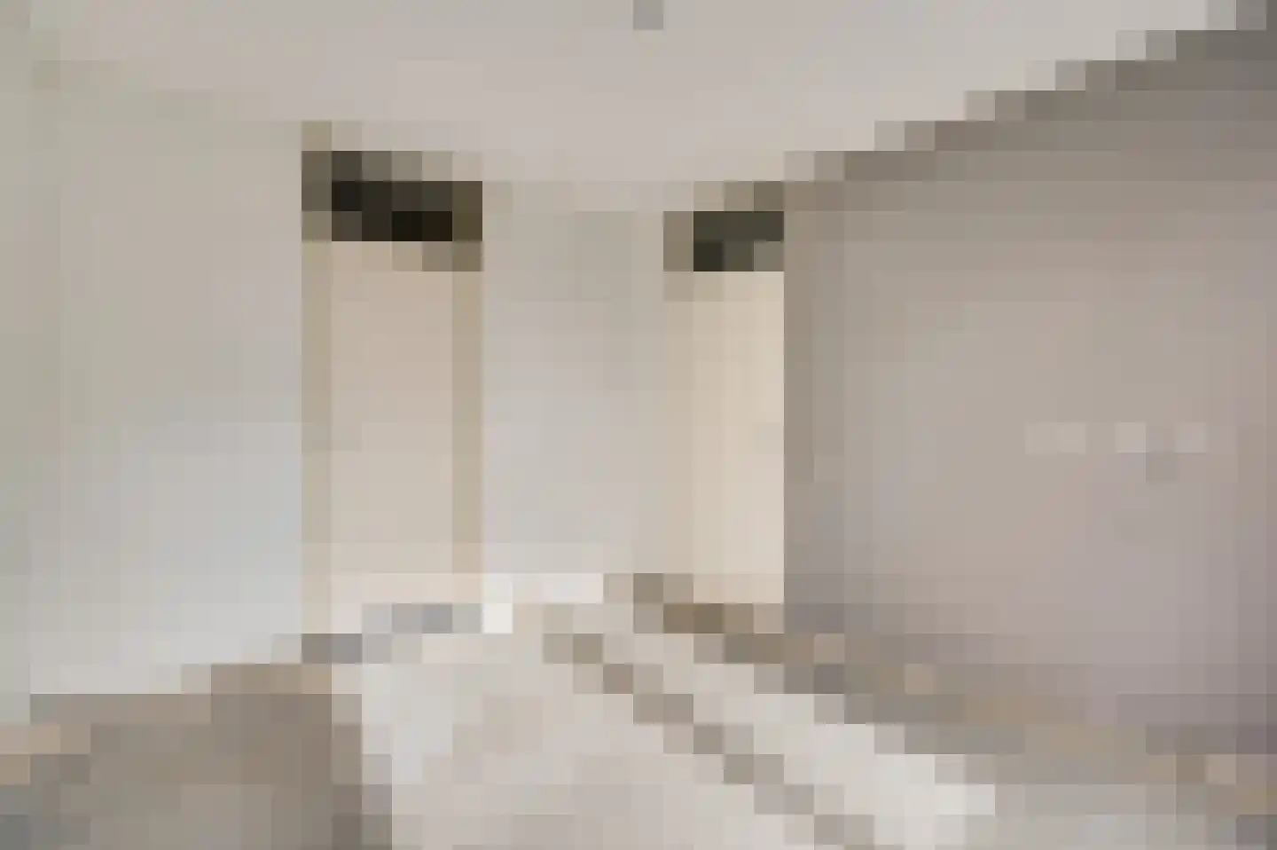 Vinkenstraat 5 Haler thumbnail 16