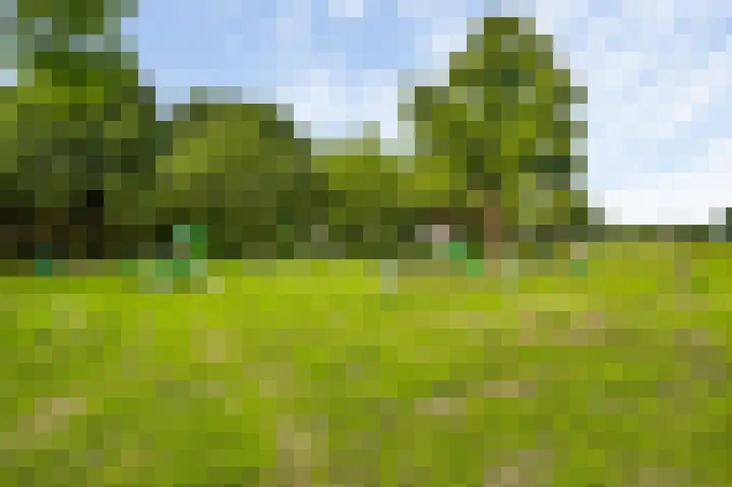 Vinkenstraat 5 Haler thumbnail 33
