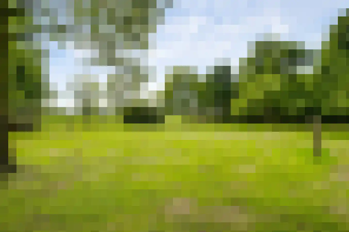 Vinkenstraat 5 Haler thumbnail 34