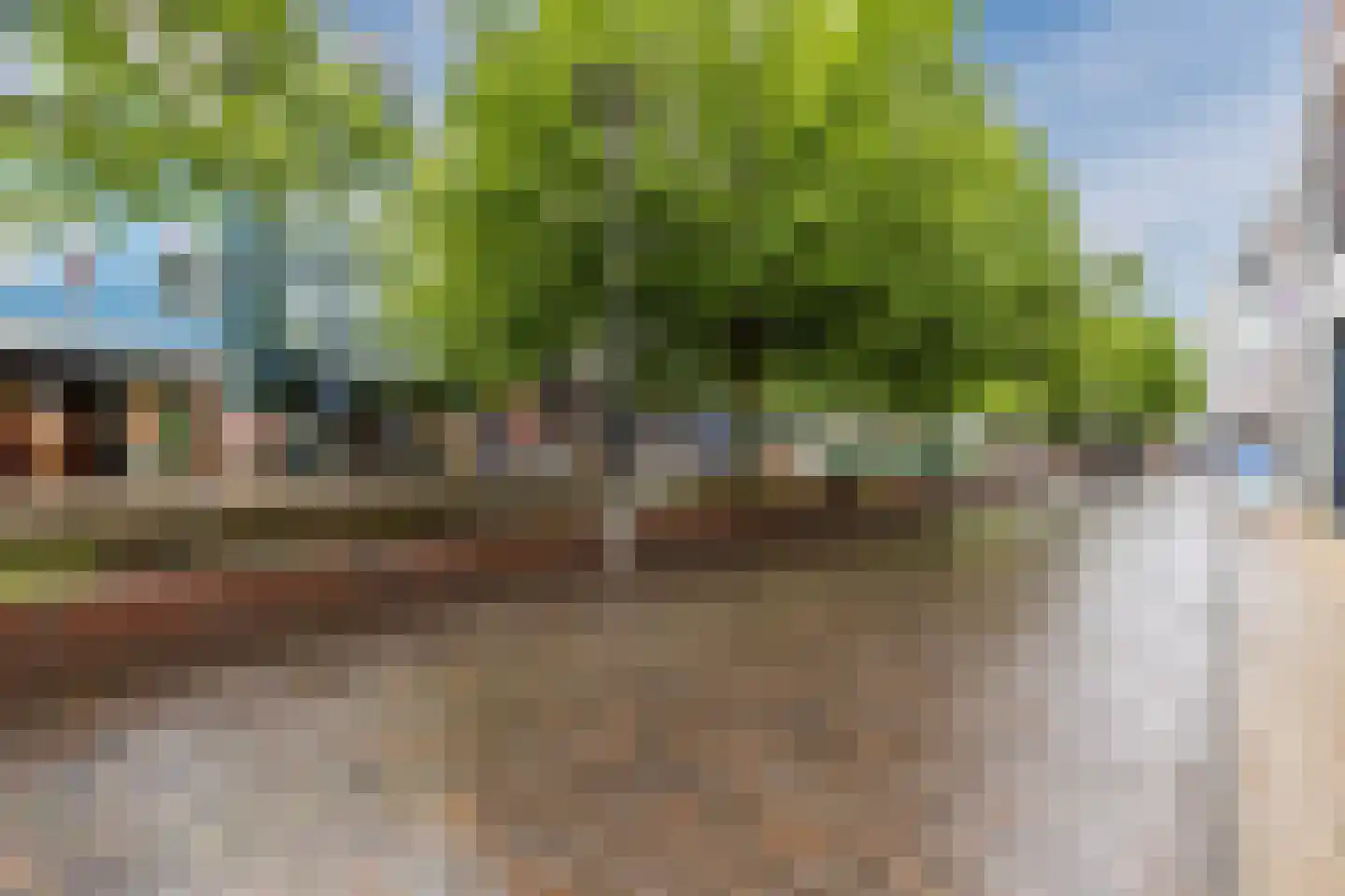 Vinkenstraat 72 Zaandam thumbnail 26